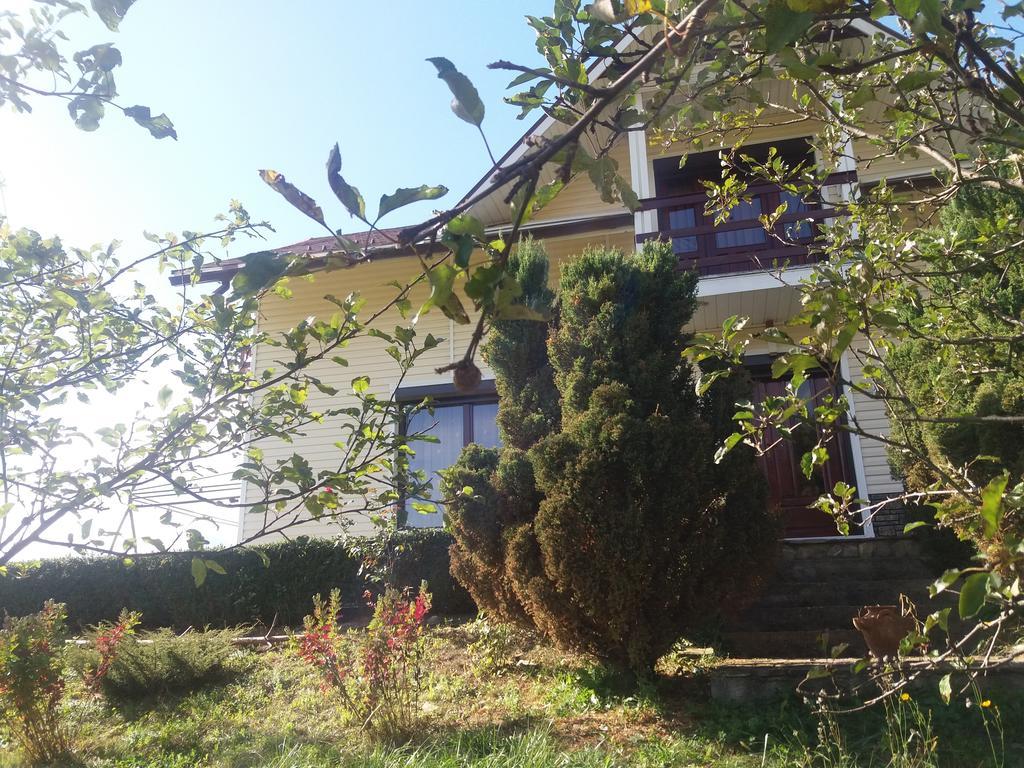 Вилла Casa Irina Пьятра-Нямц Экстерьер фото